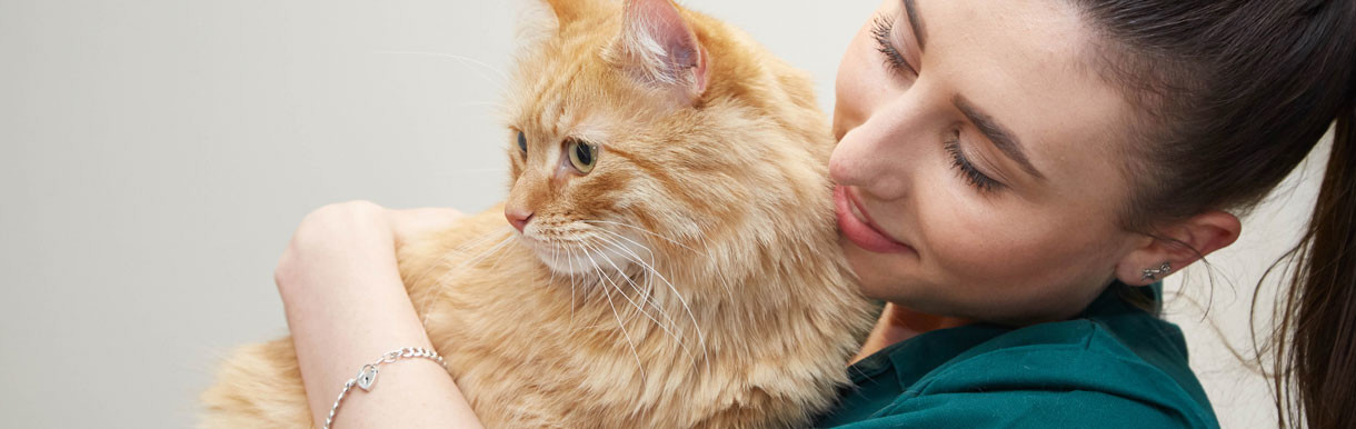 Cat being carried by a veterinary nurse